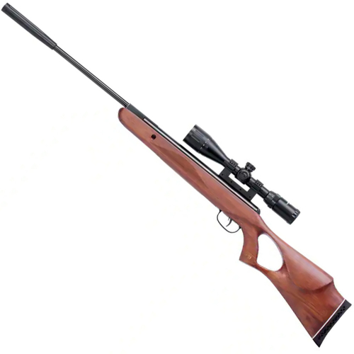 Crosman Benjamin Classic .22Cal w/ Scope