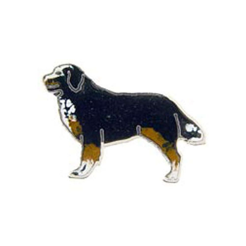 Pin-Dog Bernese