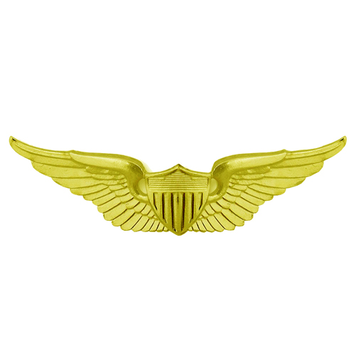 Basic Aviator Army Gold Wing Patch