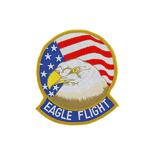 3 3/8 Inch USAF Eagle Flight Patch