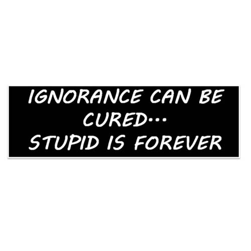 Ignorance Can Be Cured Stupid Is Forever Sticker