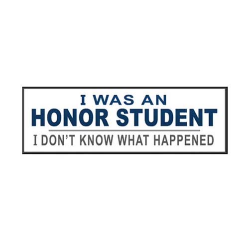 Sticker - I was an honour student, I don't know what happened
