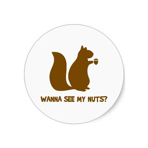 Sticker Wanna See My Nuts