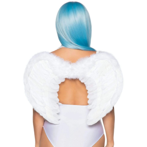 Angel/Demon Feather Wings