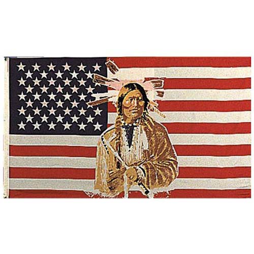 US American Indian Flag