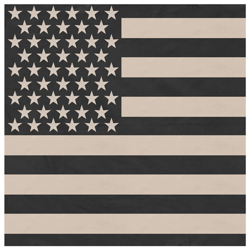 Subdued 22 Inches US Flag Bandana