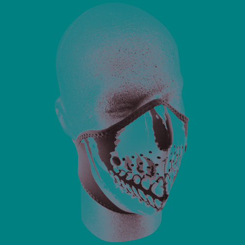 Neo x Anti Fog Skull Half Face Mask