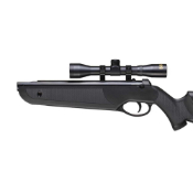 Beeman Black Cub 1022 Dual Caliber Pellet Rifle