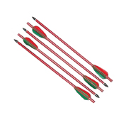 Crossbow Arrows 150 LB 5 PC
