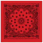 Trainmen Bandana