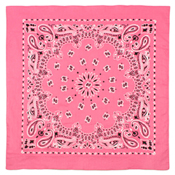 Trainmen Bandana