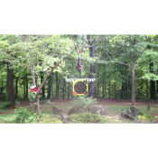 Targets Pack - 50pcs